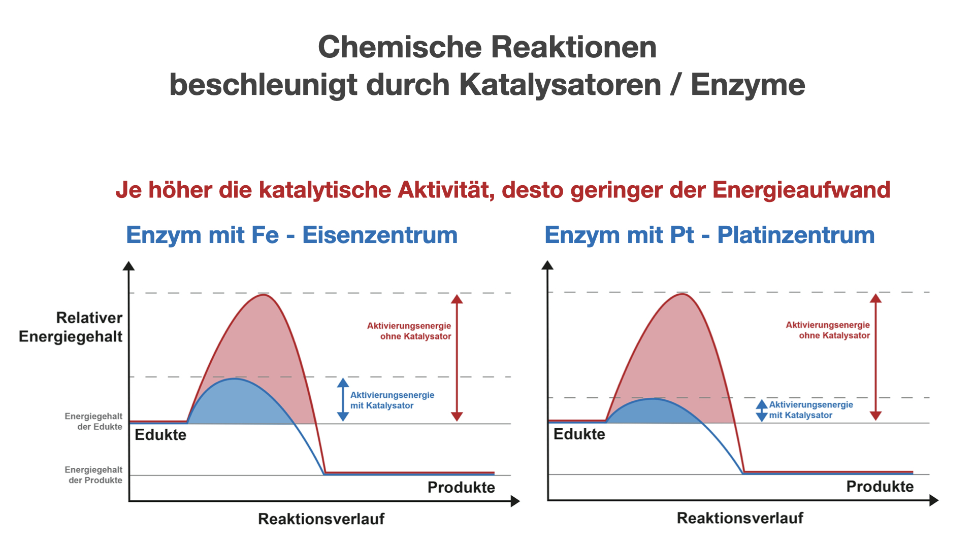 Chemische Reaktionen beschleunigt durch Katalysatoren