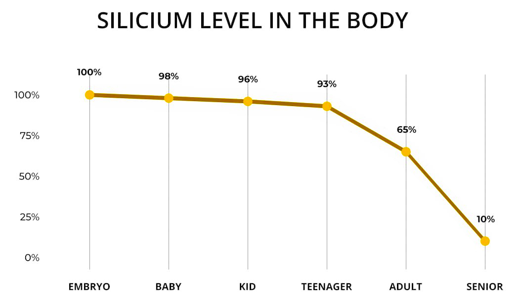 Silicon level in the body