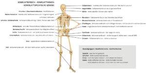 Skelett Knochen Konfliktthemen